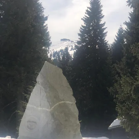 U Vleku - Podkrovni Karlova Studanka