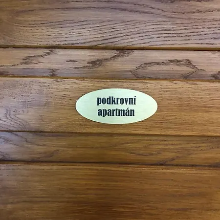U Vleku - Podkrovni Apartment Karlova Studanka